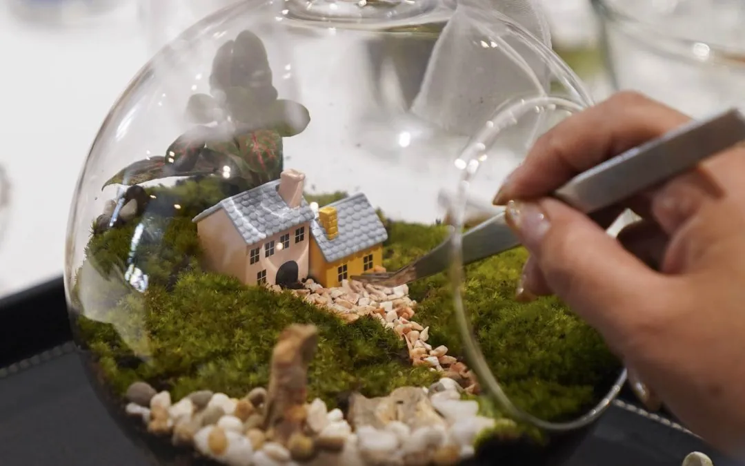 กิจกรรม Terrarium Ball